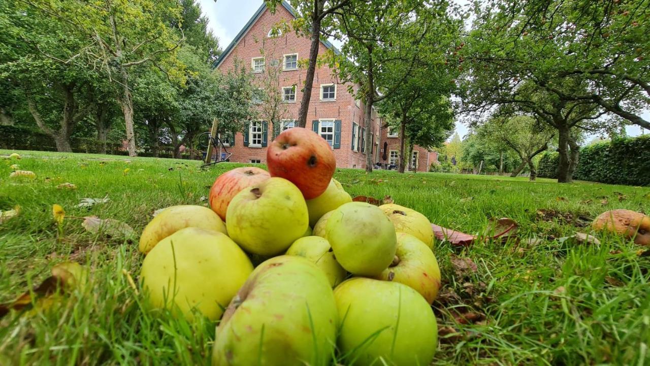 Gulfhof Boomgaarden Boomgaarden 16 Albert Krummhörn Exteriér fotografie